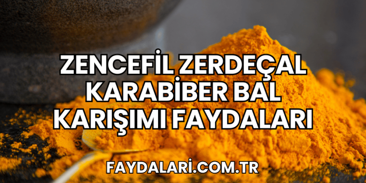 Zencefil Zerdeçal Karabiber Bal Karışımı Faydaları