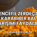 Zencefil Zerdeçal Karabiber Bal Karışımı Faydaları