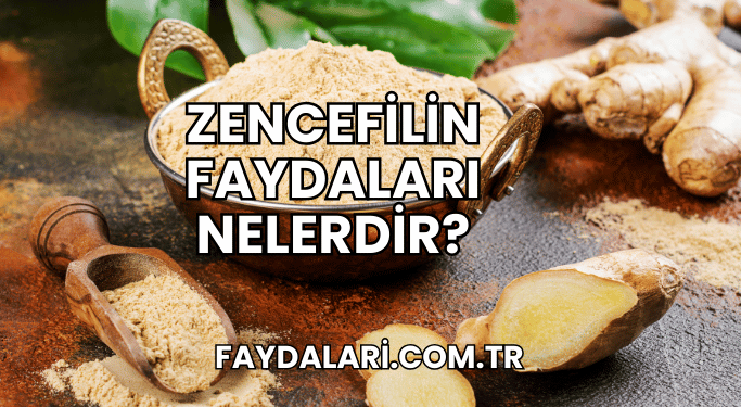 Zencefilin Faydaları Nelerdir?