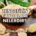 Zencefilin Faydaları Nelerdir?