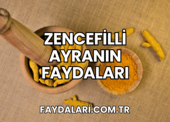 Zencefilli Ayranın Faydaları