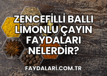 Zencefilli Ballı Limonlu Çayın Faydaları Nelerdir?