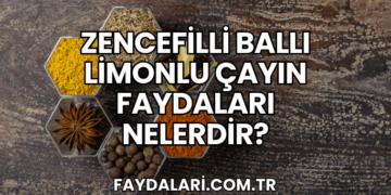 Zencefilli Ballı Limonlu Çayın Faydaları Nelerdir?