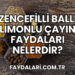Zencefilli Ballı Limonlu Çayın Faydaları Nelerdir?