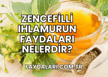 Zencefilli Ihlamurun Faydaları Nelerdir?