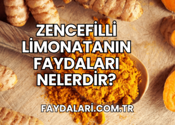 Zencefilli Limonatanın Faydaları Nelerdir?