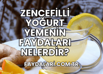 Zencefilli Yoğurt Yemenin Faydaları Nelerdir?