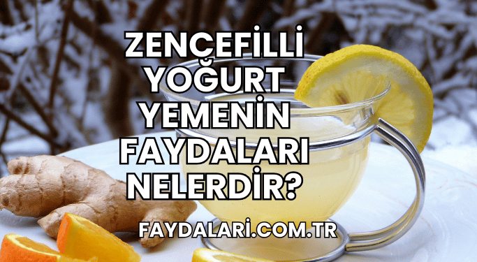 Zencefilli Yoğurt Yemenin Faydaları Nelerdir?