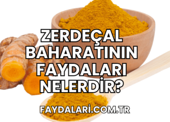 Zerdeçal Baharatının Faydaları Nelerdir?