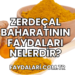 Zerdeçal Baharatının Faydaları Nelerdir?