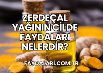 Zerdeçal Yağının Cilde Faydaları Nelerdir?