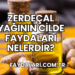 Zerdeçal Yağının Cilde Faydaları Nelerdir?