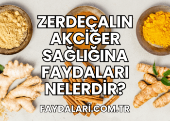 Zerdeçalın Akciğer Sağlığına Faydaları Nelerdir?