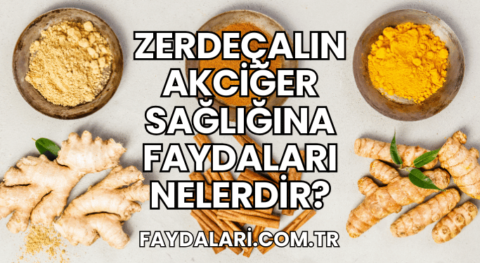 Zerdeçalın Akciğer Sağlığına Faydaları Nelerdir?