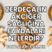 Zerdeçalın Akciğer Sağlığına Faydaları Nelerdir?