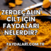 Zerdeçalın Cilt İçin Faydaları Nelerdir?