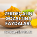 Zerdeçalın Gözaltına Faydaları