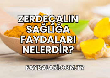 Zerdeçalın Sağlığa Faydaları Nelerdir?