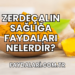Zerdeçalın Sağlığa Faydaları Nelerdir?