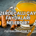Zerdeçallı Çay Faydaları Nelerdir?