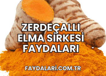 Zerdeçallı Elma Sirkesi Faydaları