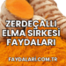 Zerdeçallı Elma Sirkesi Faydaları