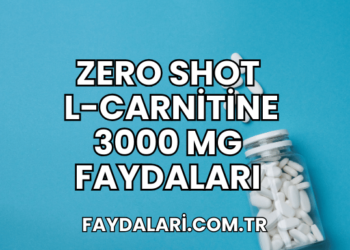 Zero Shot L-Carnitine 3000 mg Faydaları