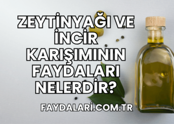 Zeytinyağı ve İncir Karışımının Faydaları Nelerdir?