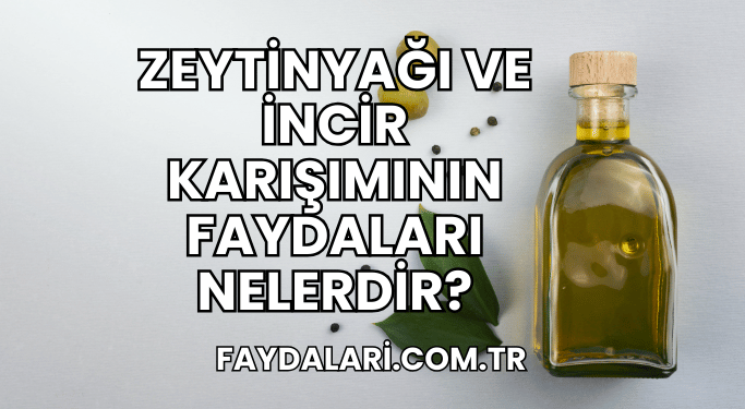 Zeytinyağı ve İncir Karışımının Faydaları Nelerdir?