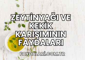 Zeytinyağı ve Kekik Karışımının Faydaları