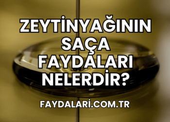 Zeytinyağının Saça Faydaları Nelerdir?