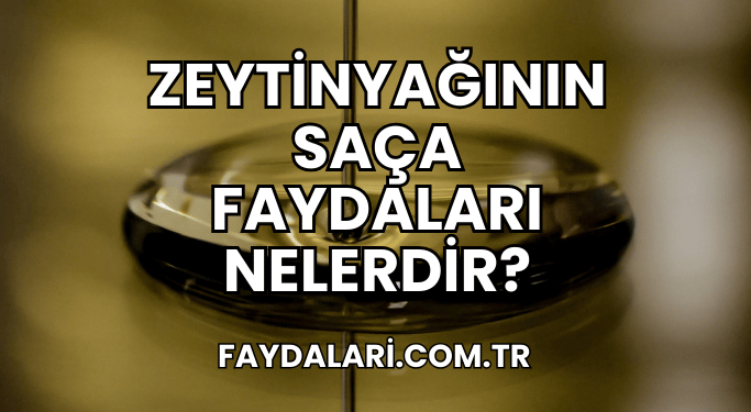 Zeytinyağının Saça Faydaları Nelerdir?