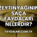 Zeytinyağının Saça Faydaları Nelerdir?