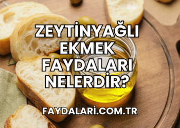 Zeytinyağlı Ekmek Faydaları Nelerdir?