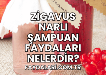Zigavus Narlı Şampuan Faydaları Nelerdir?