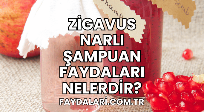 Zigavus Narlı Şampuan Faydaları Nelerdir?