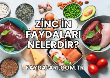 Zinc'in Faydaları Nelerdir?