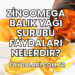 Zincomega Balık Yağı Şurubu Faydaları Nelerdir?