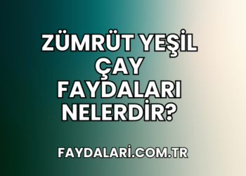 Zümrüt Yeşil Çay Faydaları Nelerdir?
