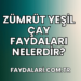 Zümrüt Yeşil Çay Faydaları Nelerdir?