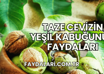 Taze Cevizin Yeşil Kabuğunun Faydaları