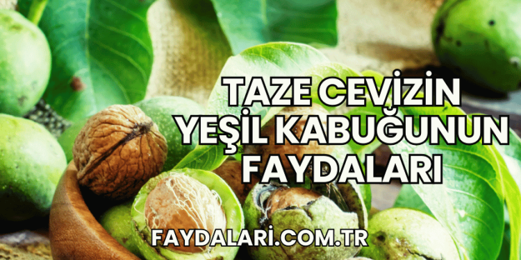 Taze Cevizin Yeşil Kabuğunun Faydaları