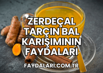 zerdeçal tarçın bal karışımının faydaları