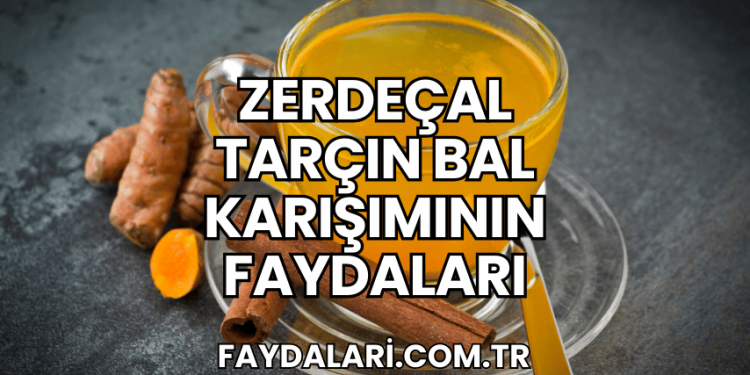 zerdeçal tarçın bal karışımının faydaları