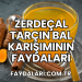 zerdeçal tarçın bal karışımının faydaları