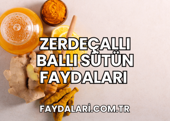 zerdeçallı ballı sütün faydaları