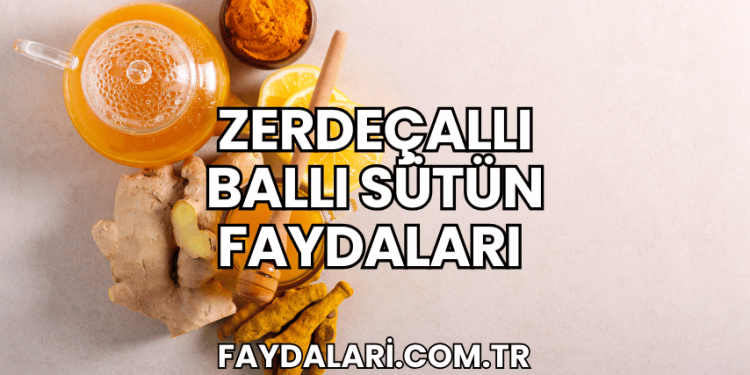 zerdeçallı ballı sütün faydaları