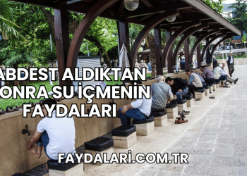 Abdest Aldıktan Sonra Su İçmenin Faydaları