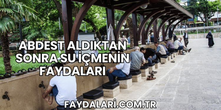 Abdest Aldıktan Sonra Su İçmenin Faydaları
