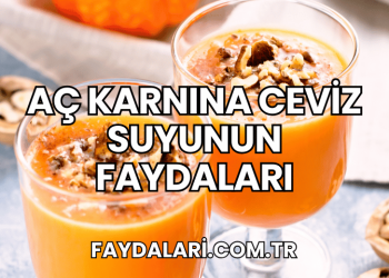 Aç Karnına Ceviz Suyunun Faydaları